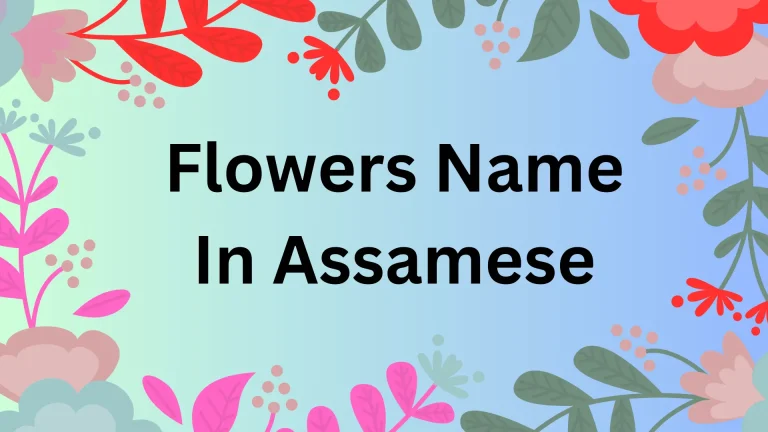 Flower Name in Assamese