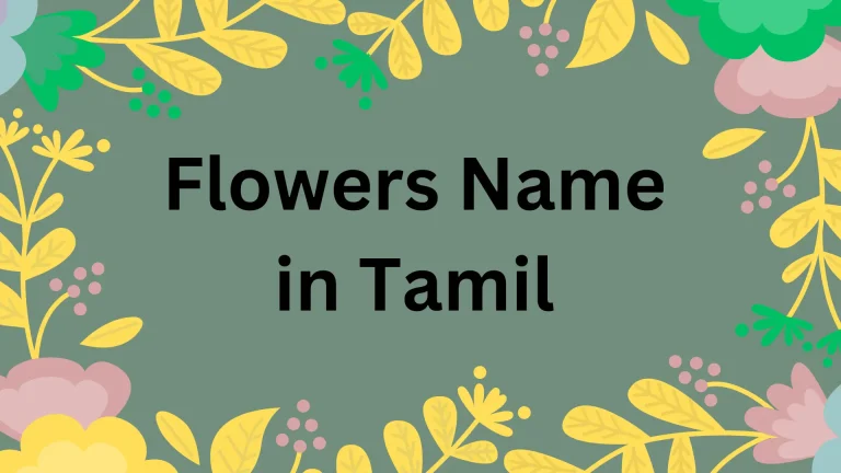 Flowers Name in Tamil