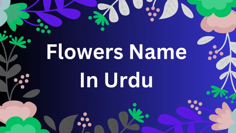 Flowers Name in Urdu