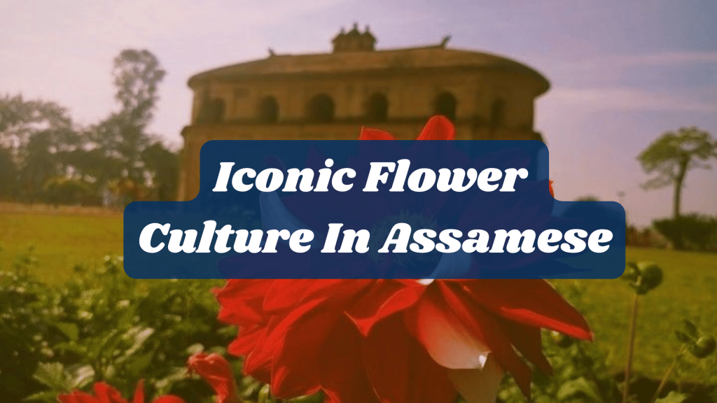 List of Lovely Flowers Name in Assamese and English Language 6 Iconic Flower Culture In Assamese