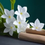 100 Flower names in Sanskrit, English and Hindi With Pictures 34 Sandal