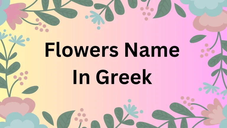 40+ Beautiful and Fascinating Flower Names in Greek