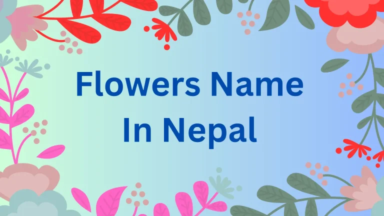 Flowers name in Nepal