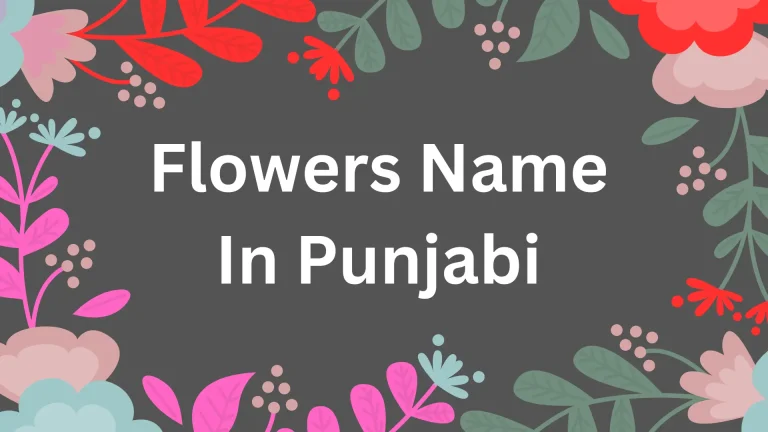 Flowers name in Punjabi