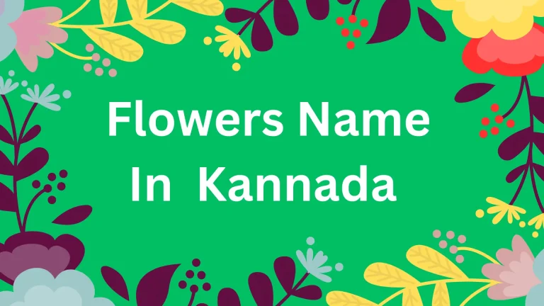 flower Name in Kannada