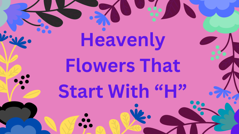 Heavenly Flower That Starts With H