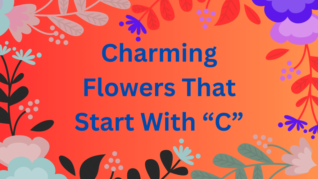 11+ Charming And Cheerful Flowers That Start With C 1 Flowers That Start With C