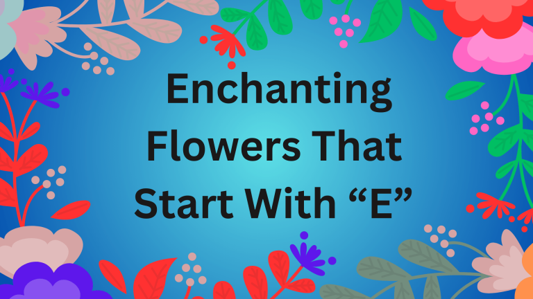 Enchanting flowers that start with E