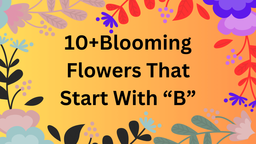 10+ blooming flower that start with B