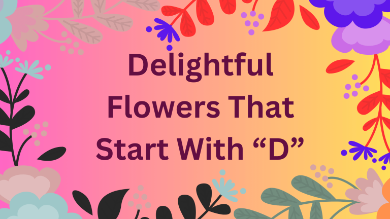 Delightful flowers that start with D