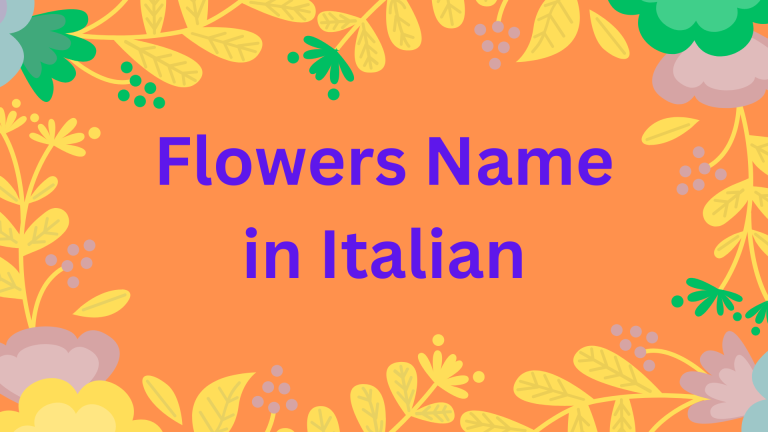Flower name in Italian