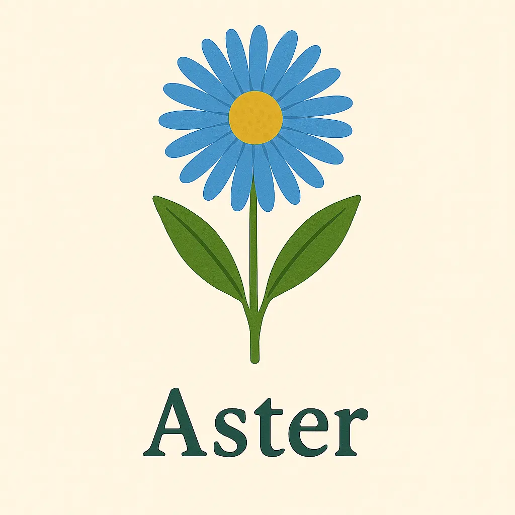 50 Flower Names for Boys: A Blooming Trend in Naming 5 image 150x150 Aster
