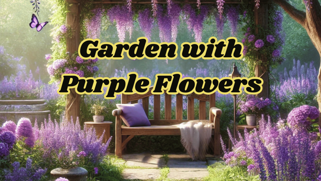 Garden with Purple Flowers