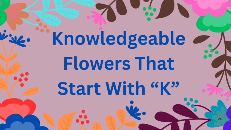 Knowledgeable Flowers That Start With K