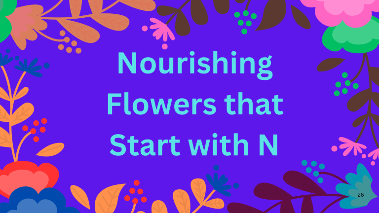 Nourishing Flowers that Start with N