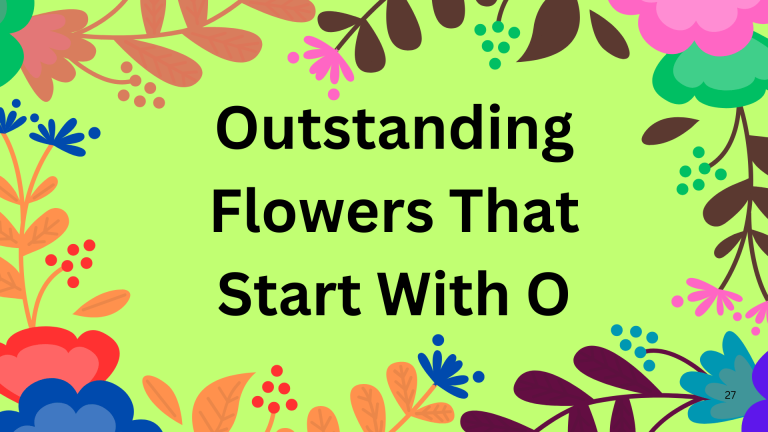 Outstanding Flowers That Start With O