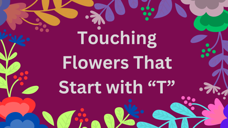 Touching Flowers that Start with T