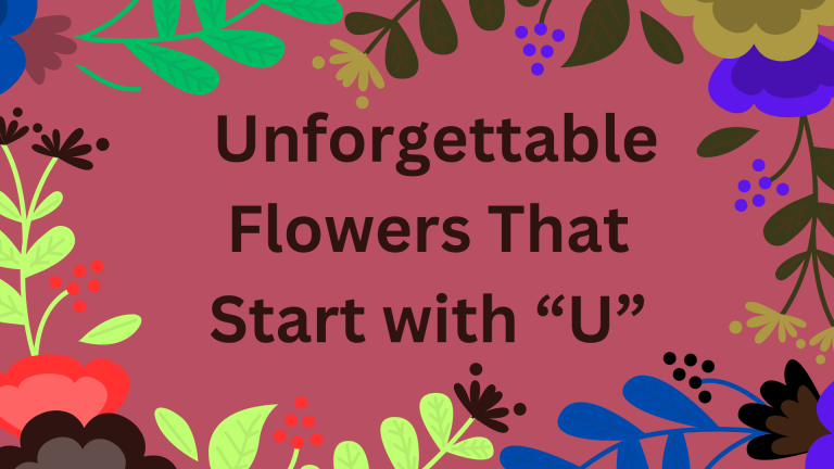 Unforgettable Flowers that Start with U