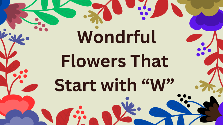 Wonderful Flowers that Start with W