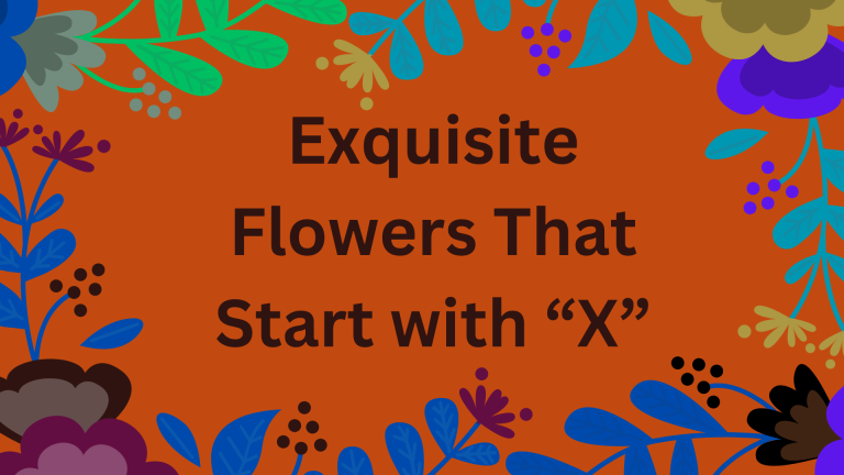 Exquisite Flowers that start with X