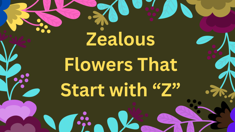 Zealous Flower That Start With Z