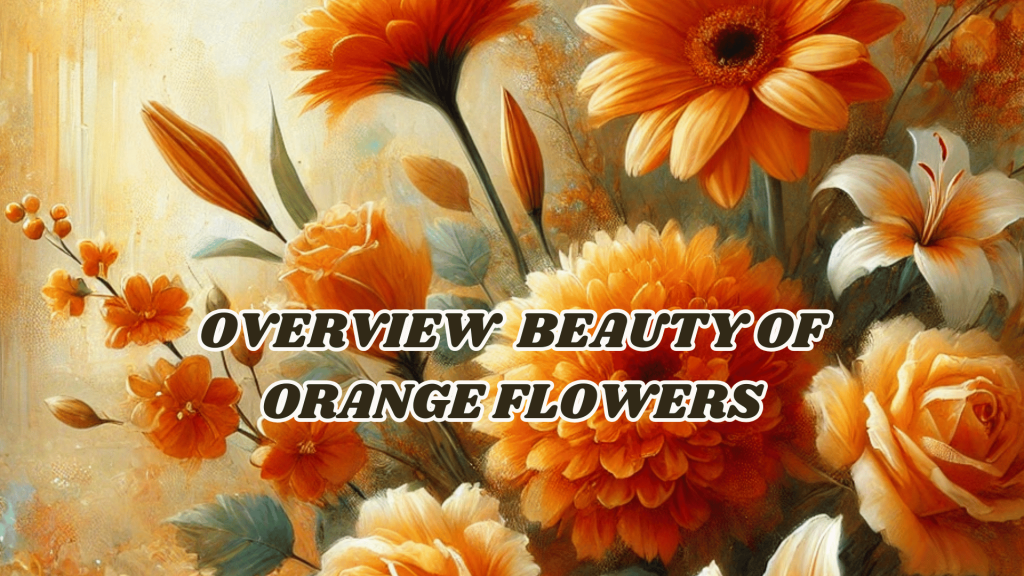 Most Famous Vibrant and Charming Orange Flower Names 1 Overview beauty of Orange flowers