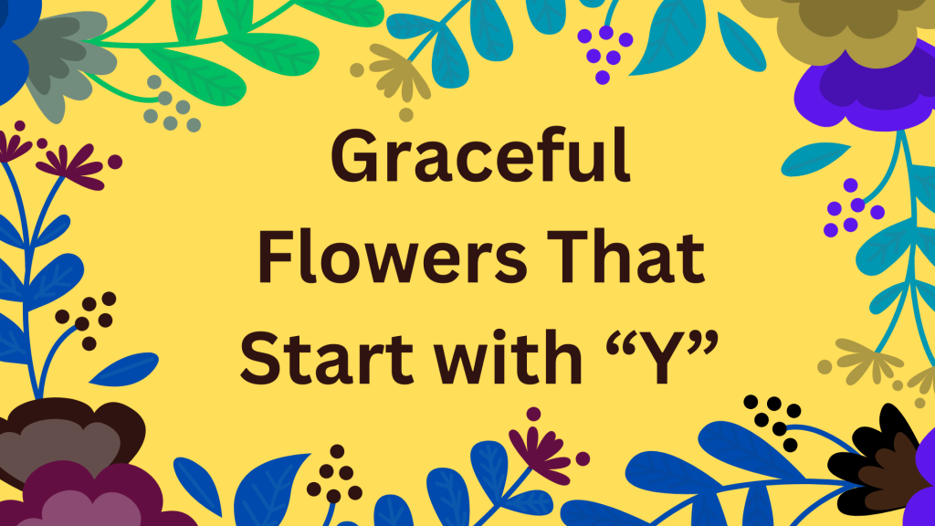 Graceful Flowers That Start with Y