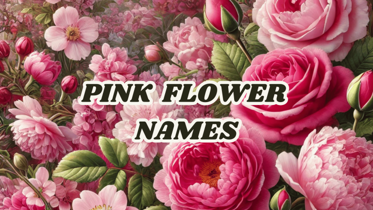 Pink flower Names