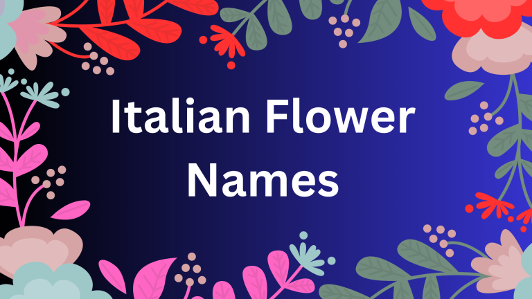 Italian Flower Names