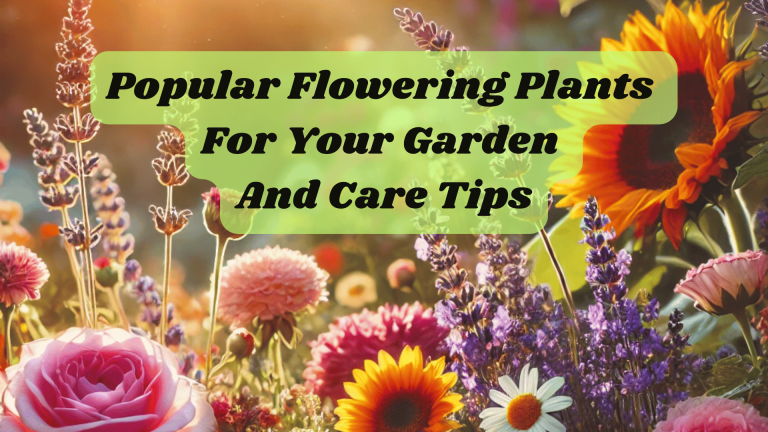 Popular Flowering Plants For Your Garden And Care Tips