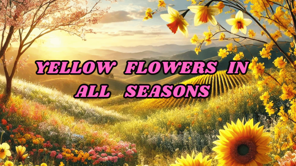 10 Most Popular And Brightness Types of Yellow Flower Names 2 Yellow Flowers in All Seasons