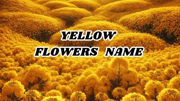 Yellow Flowers Name