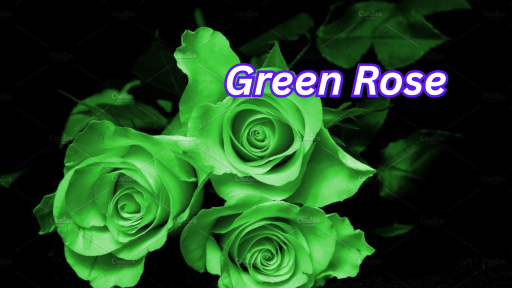 Green Rose