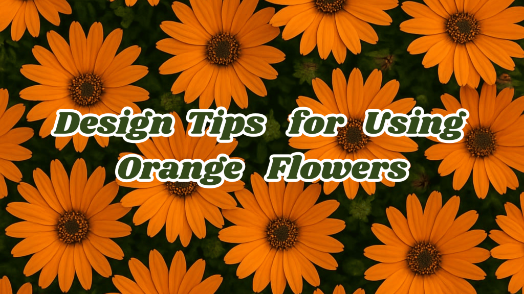 Design Tips for Using Orange Flowers