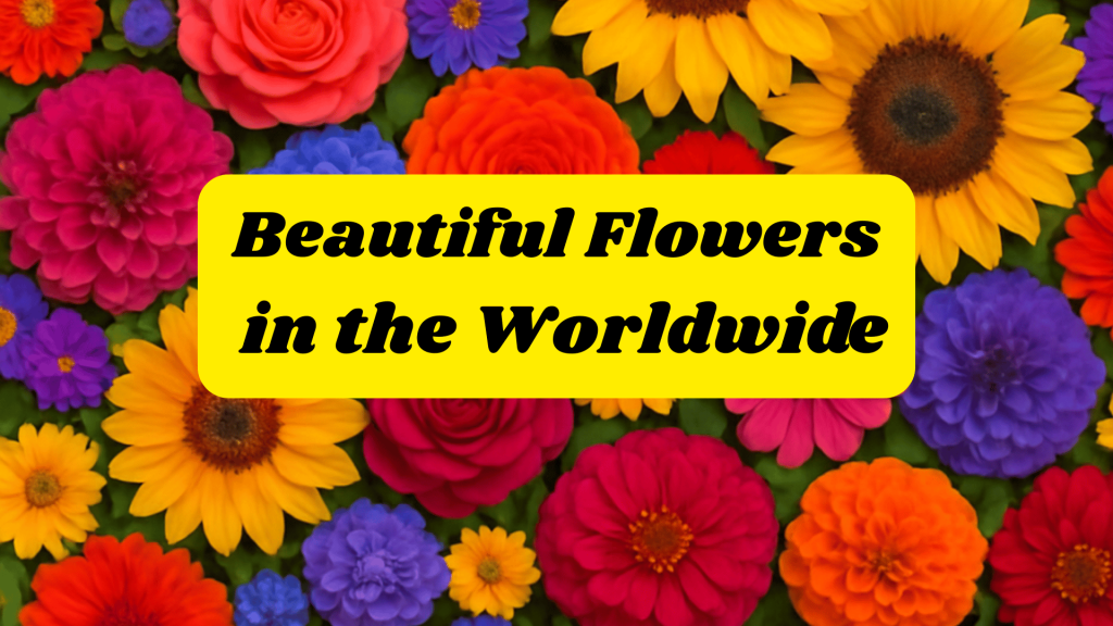 Top 10 Most Pretties And Beautiful Flowers in the Worldwide 1 Beautiful Flowers in the Worldwide