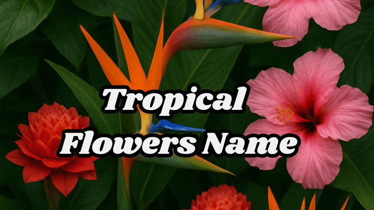 Tropical Flowers Name