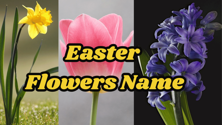 Easter Flowers Name