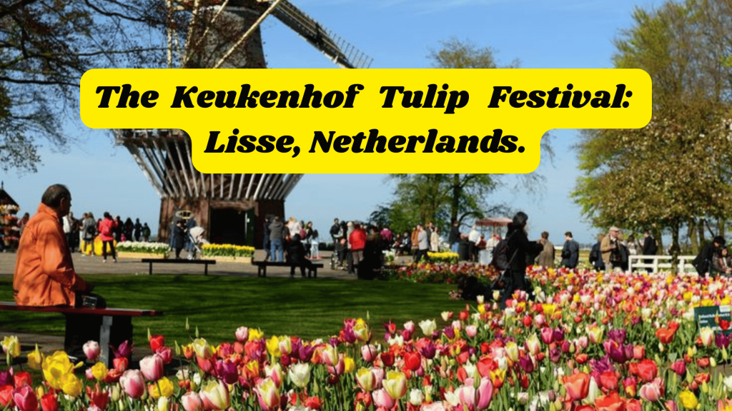 The Keukenhof Tulip Festival: Lisse, Netherlands