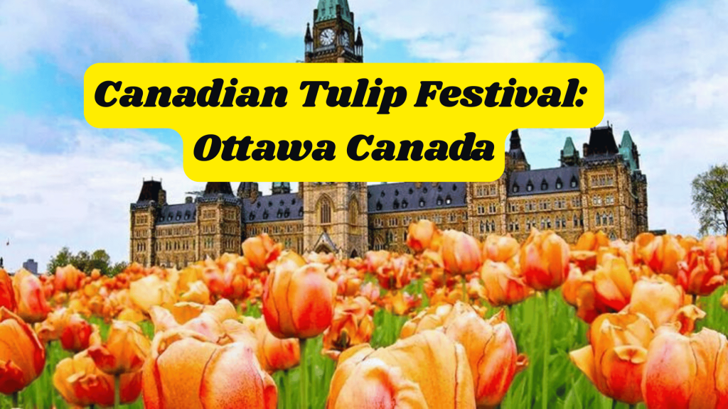 Canadian Tulip Festival: Ottawa  Canada