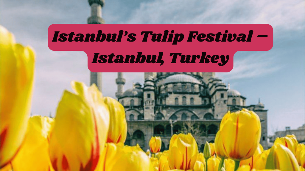 Istanbul’s Tulip Festival – Istanbul, Turkey