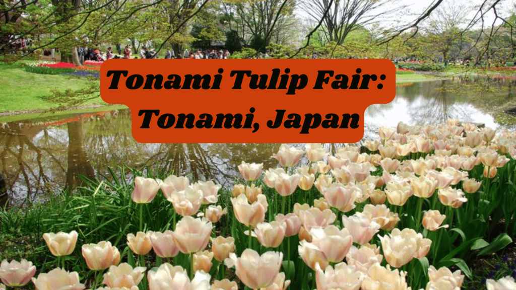 Tonami Tulip Fair: Tonami, Japan