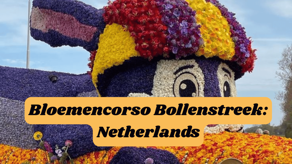 Bloemencorso Bollenstreek: Netherlands