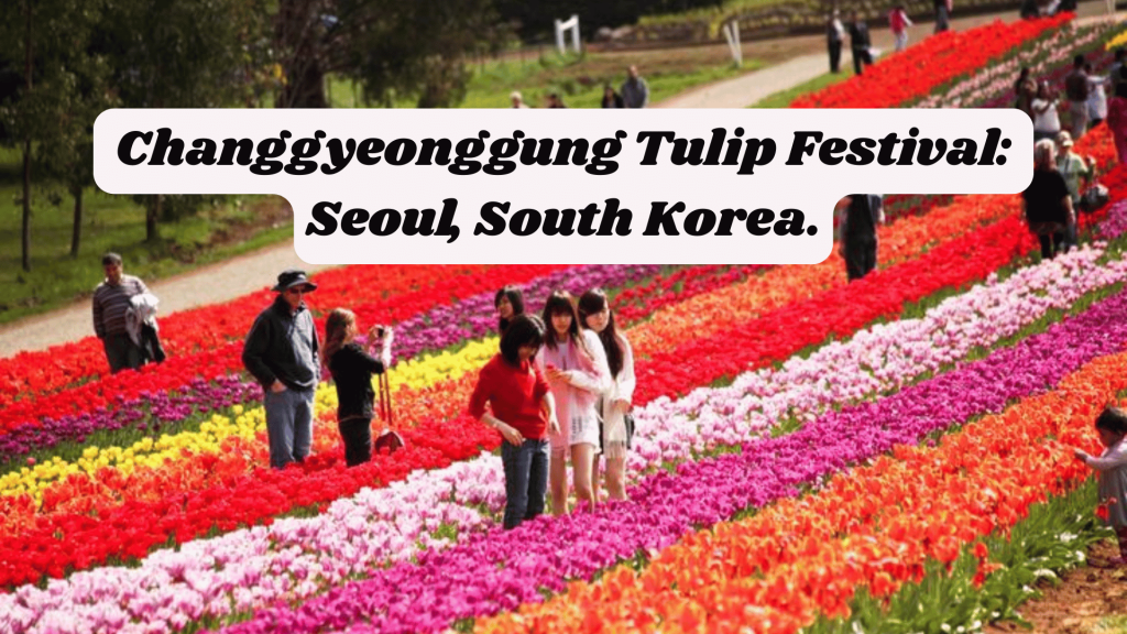 Changgyeonggung Tulip Festival: Seoul, South Korea
