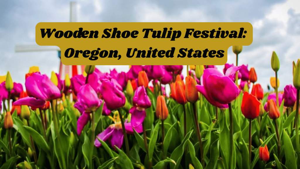 Wooden Shoe Tulip Festival: Oregon, United States