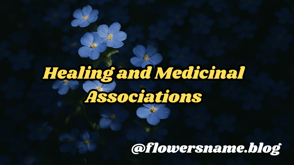 Explore 20 Beautiful Blue Flower Names: Beauty, Cultural Signification And Medical Healing1. 1 Healing and Medicinal Associations