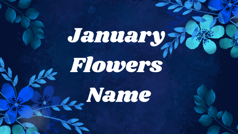 January Flowers Name