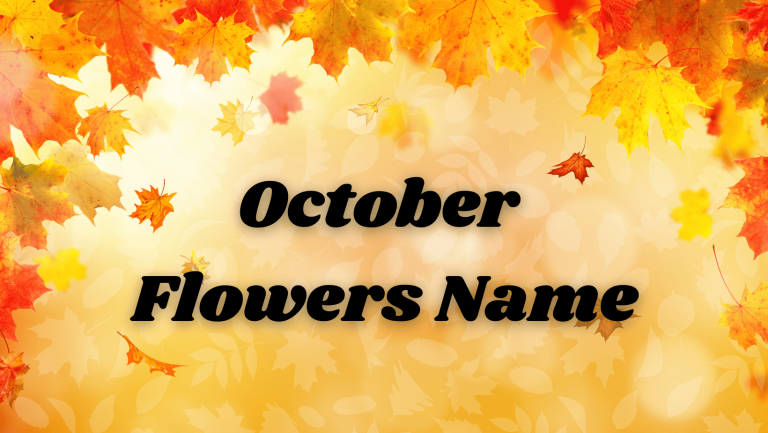 October Flowers Name