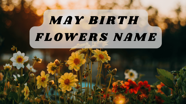 May Birth Flowers Name