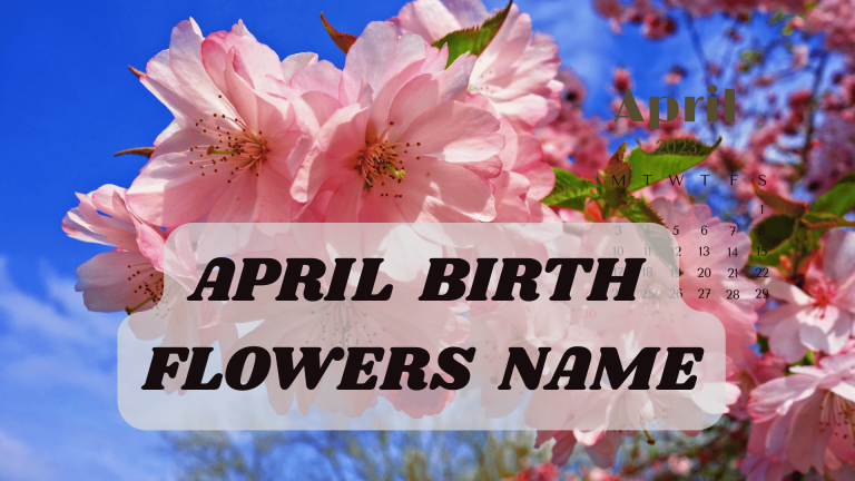 April Birth Flowers Name