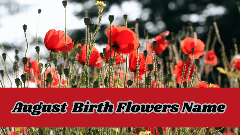 August Birth Flowers Name